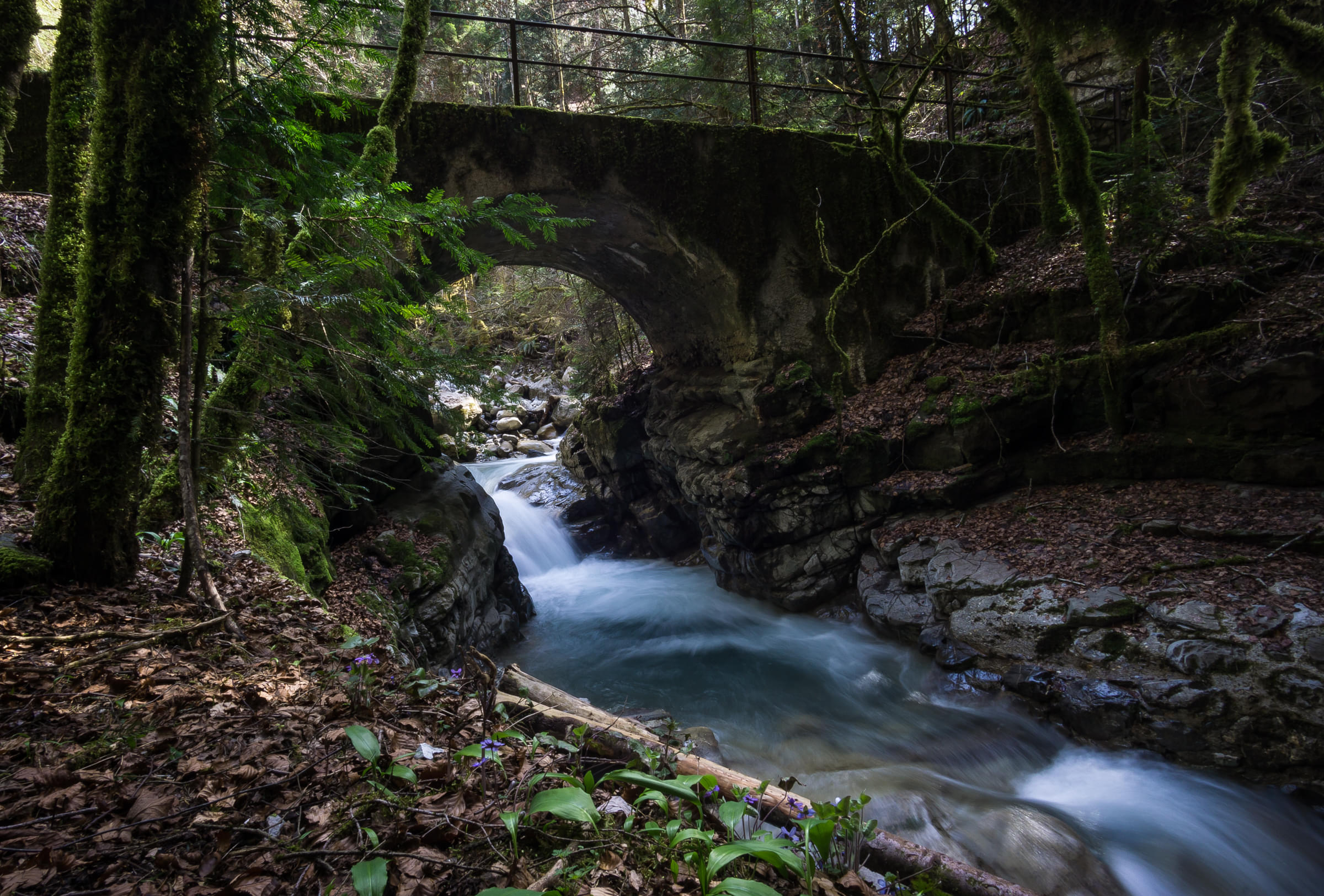 Gorges du Chauderon Overview