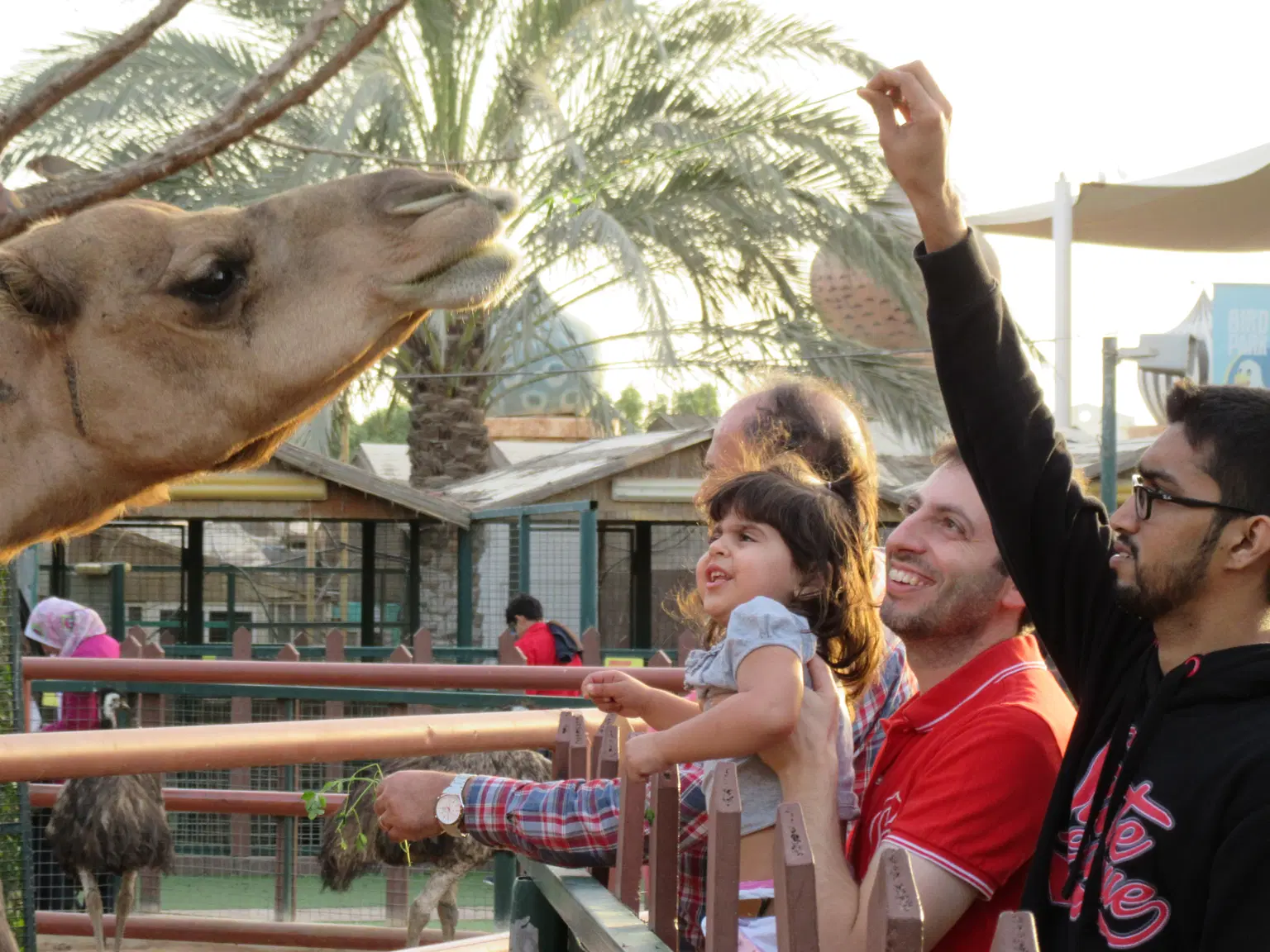 Experiences at Al Ain zoo