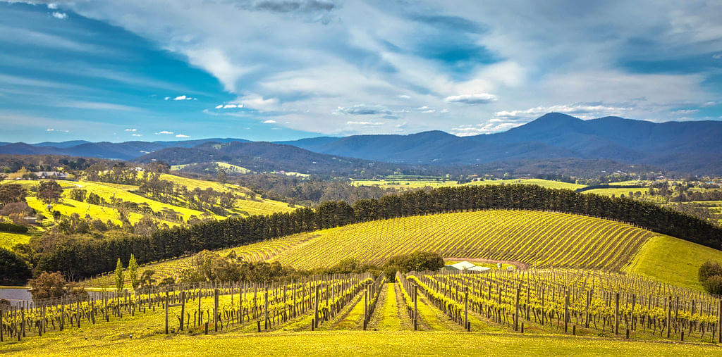 Yarra Valley, Melbourne Overview