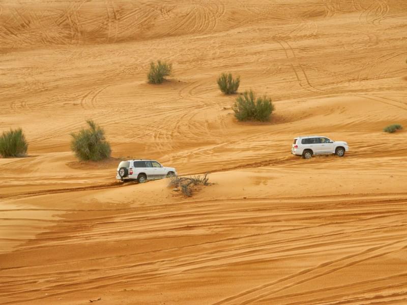 Morning Desert Safari Tour with Camel Ride & Sand Boarding