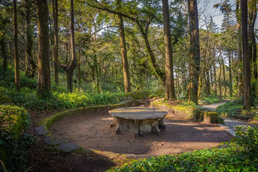 Park and Pena Palace in Sintra Image