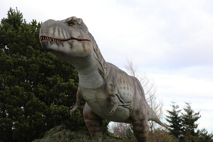 Dinasaurs at Edinburgh Zoo