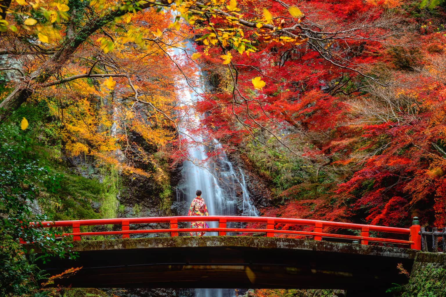 <em>Osaka</em> Tour Packages From Bhopal