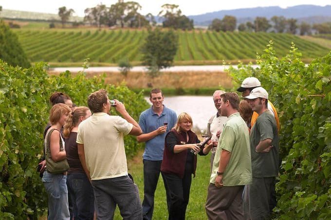 Winery in Shamakhi, Azerbaijan