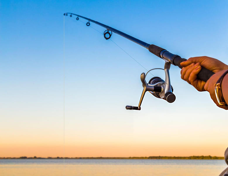 Yacht Sailing and Fishing Experience on Mandovi River, Goa Image