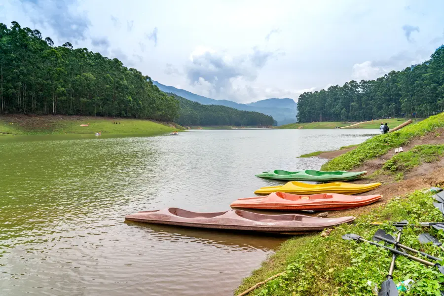 Kerala Weekend Getaway | Misty Hills & Calm Backwaters Image