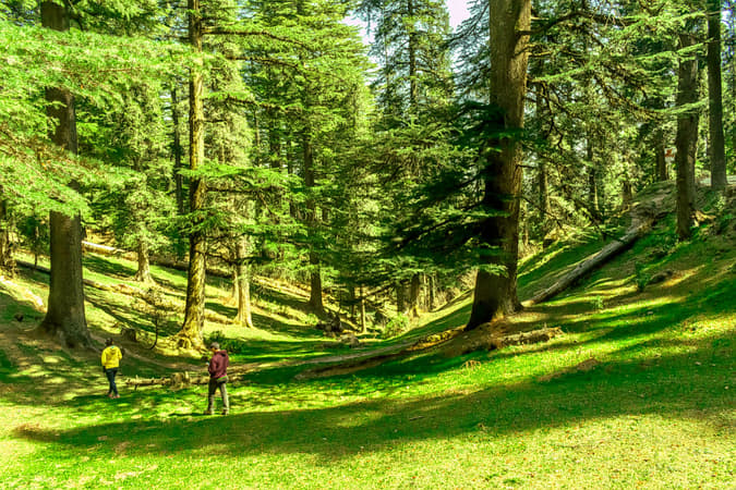 The Himalayan Nature Park