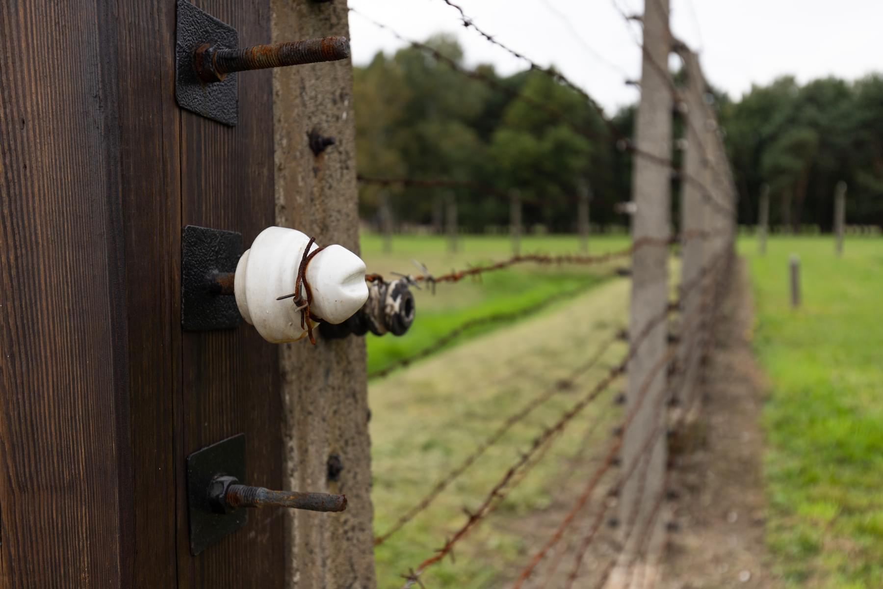 Why & How Jews Sent to Auschwitz