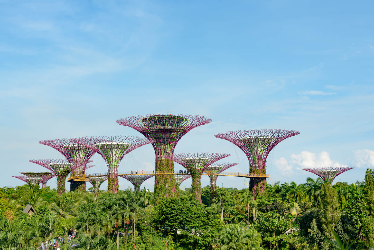 Gardens by the Bay