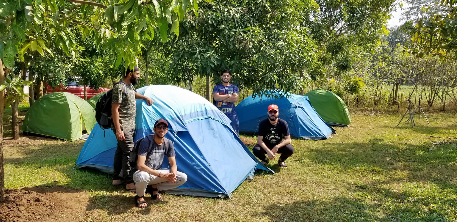 Traveller photo