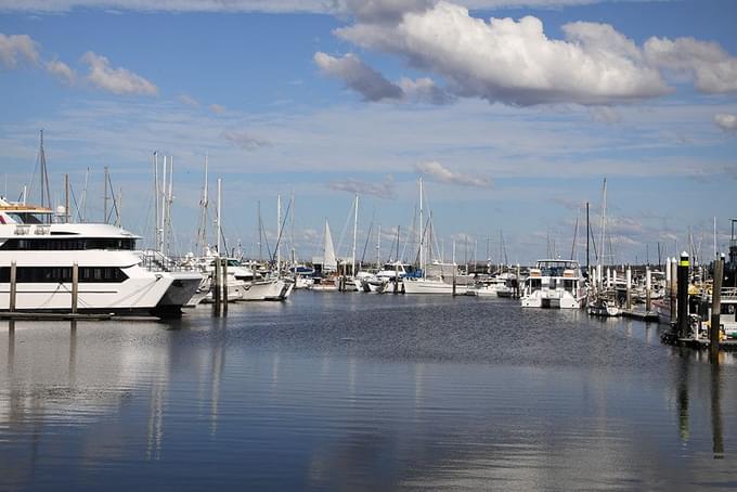 Hervey Bay Whale Watching