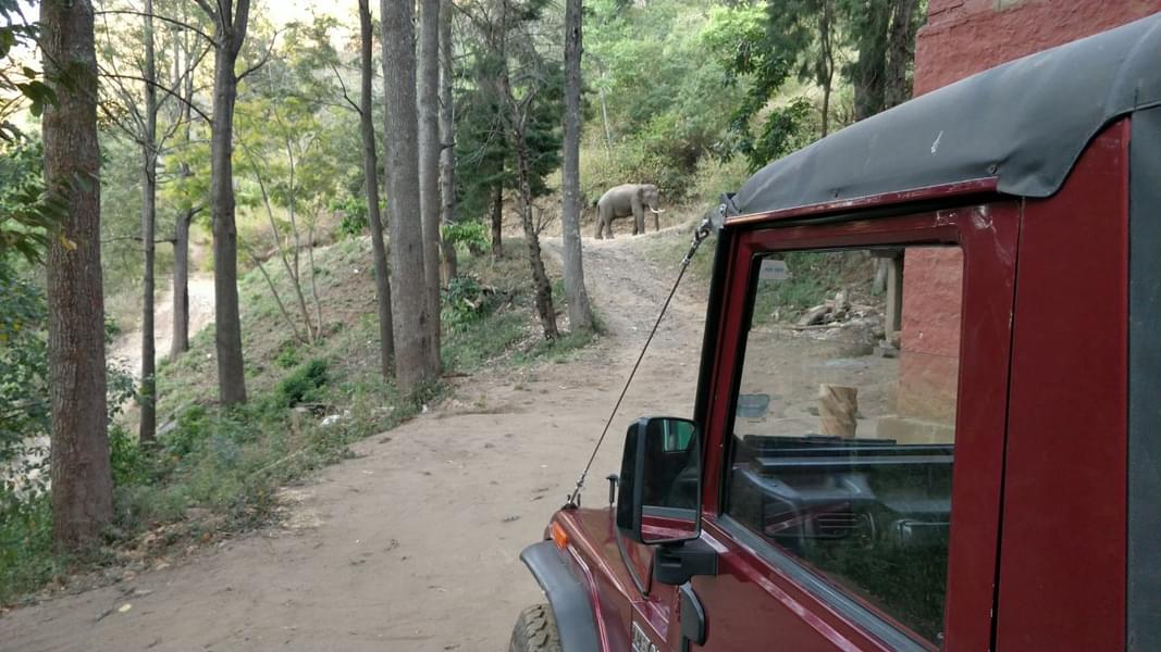 Mudumalai Buffer Zone Jeep Safari Image