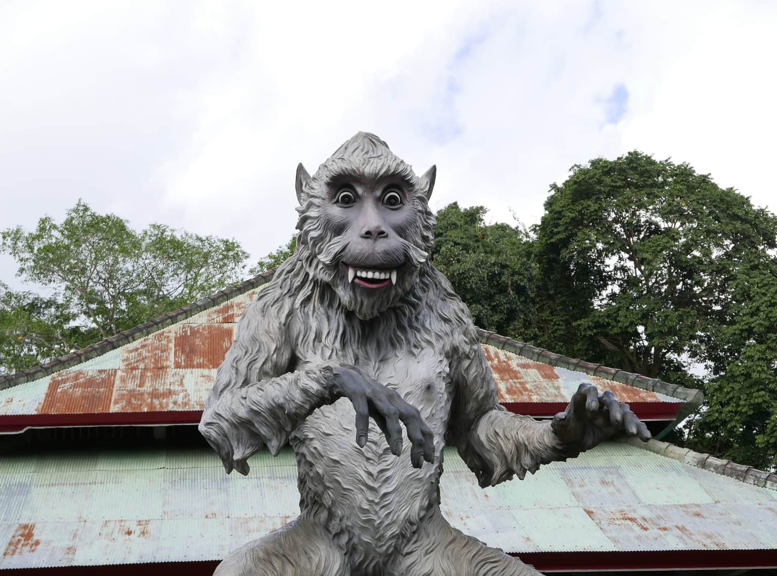 Witness the playful monkeys