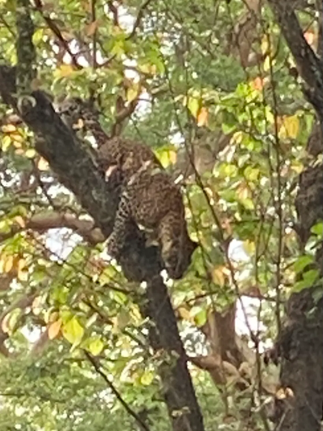 Photo from Yogish  H's trip