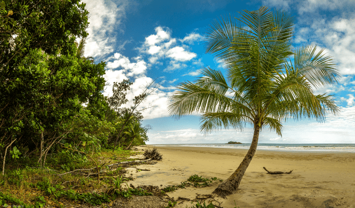 Things To Do In Daintree National Parkl