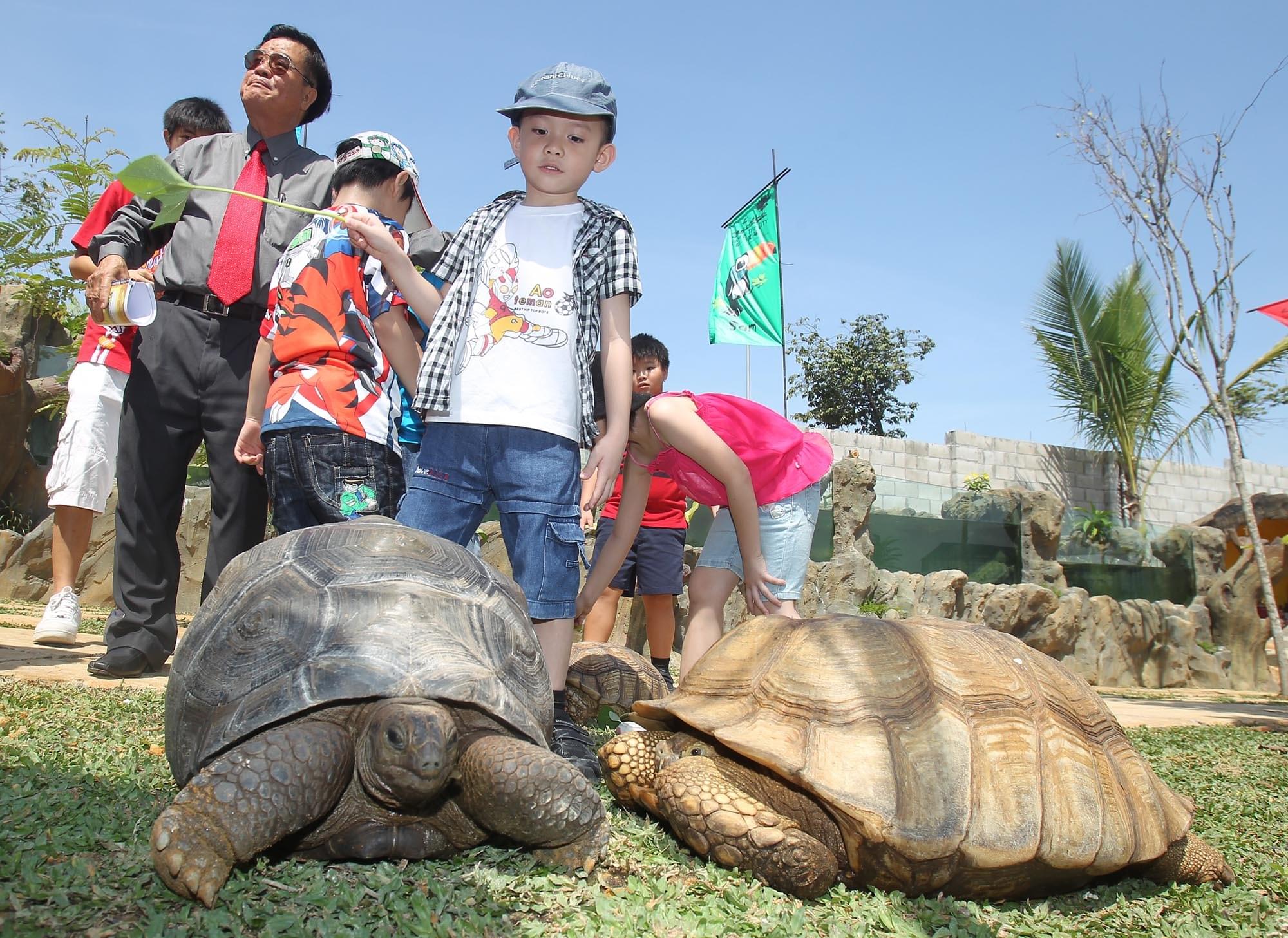 Turtle & Tortoise Farm