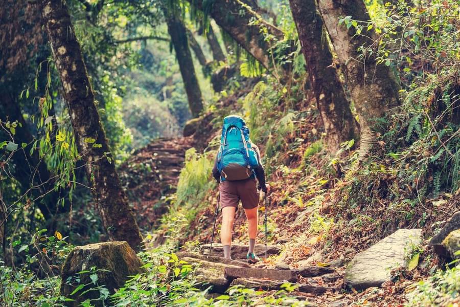 parvati valley trek