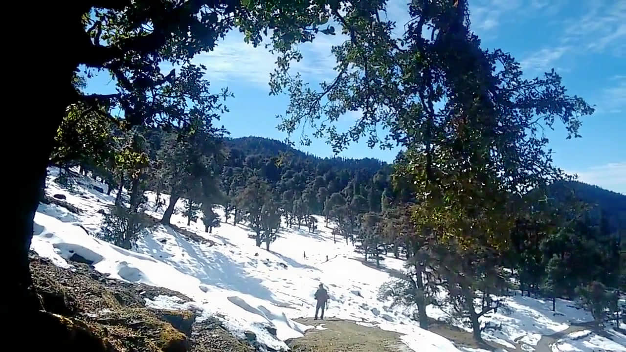 Photo from Vedanga Sethi's trip