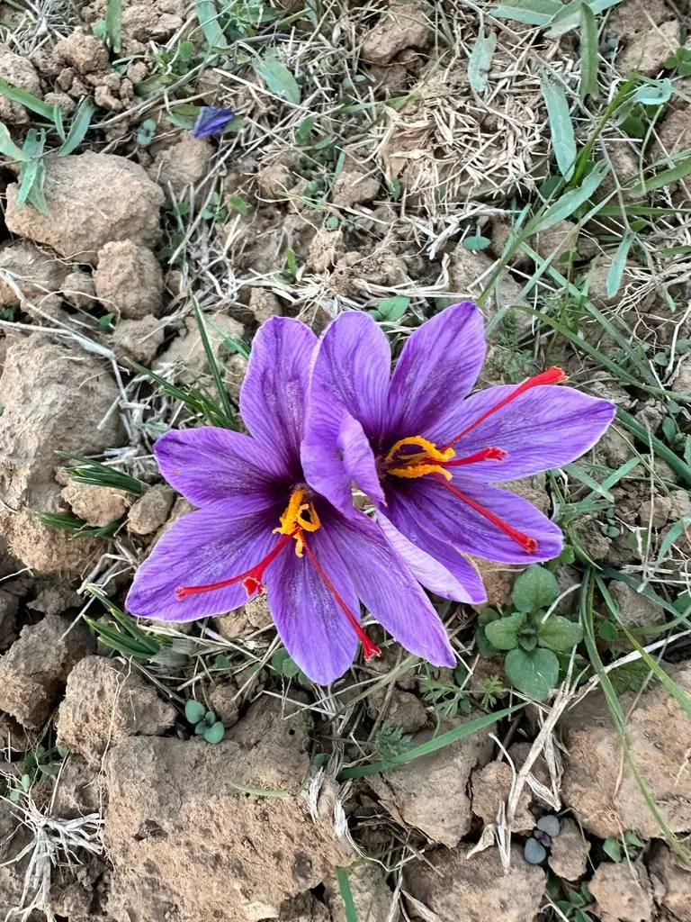 Photo from Prakriti Bhatnagar's trip
