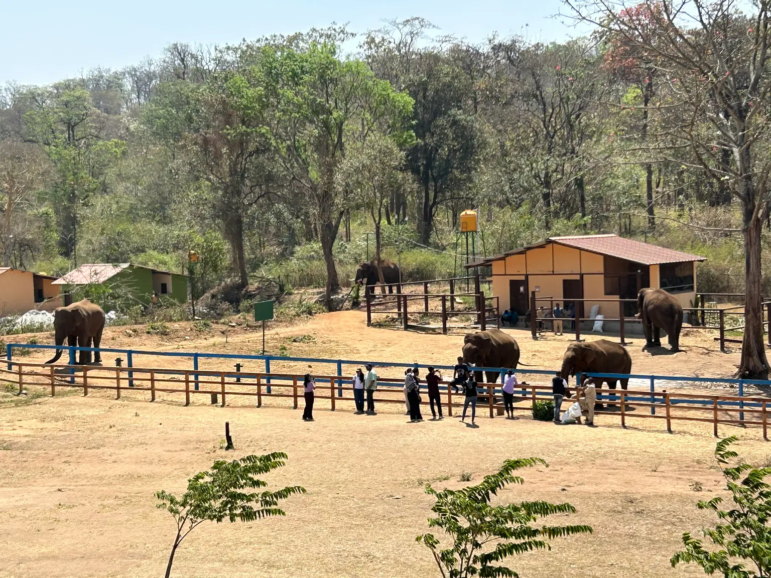 Photo from George Joseph's trip
