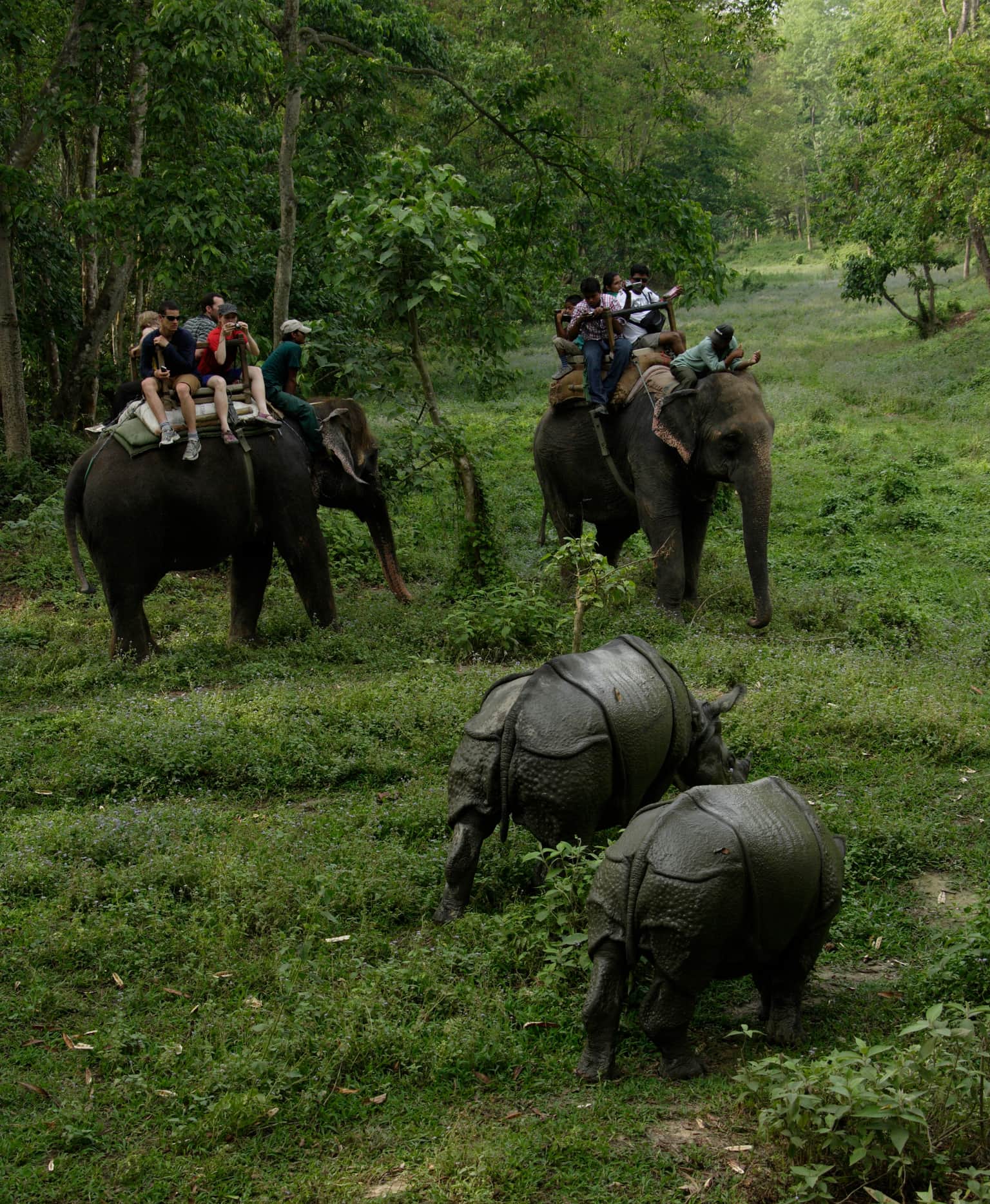 <em>Nepal</em> Tour Packages From Hyderabad