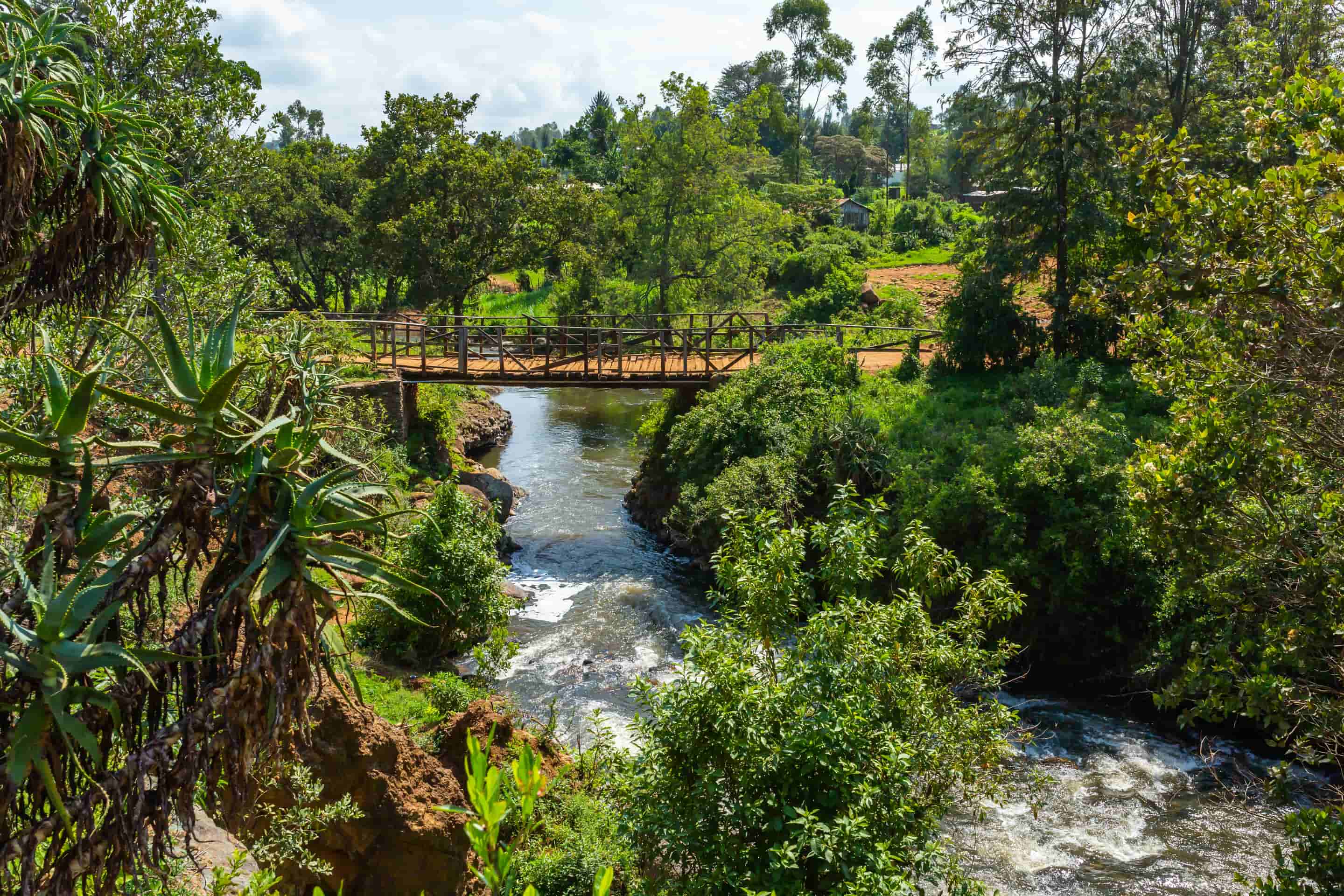 Nanyuki Tour Packages
