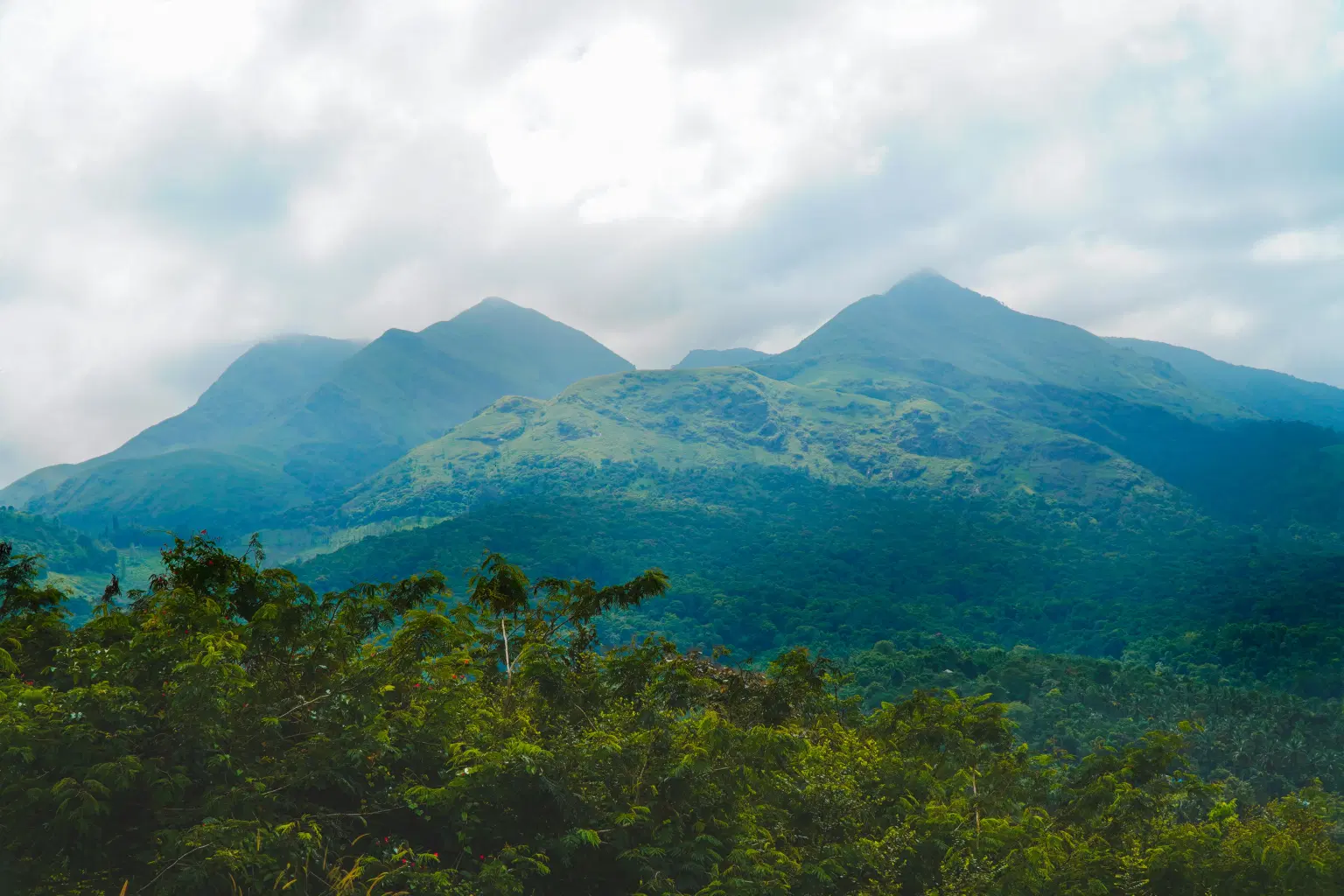 Pandikuzhi, Kerala