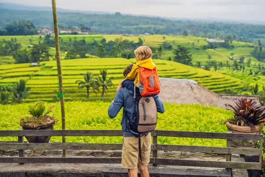 Tour of the rice terraces in Jatiluwih