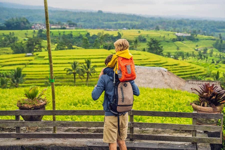 Tour of the rice terraces in Jatiluwih