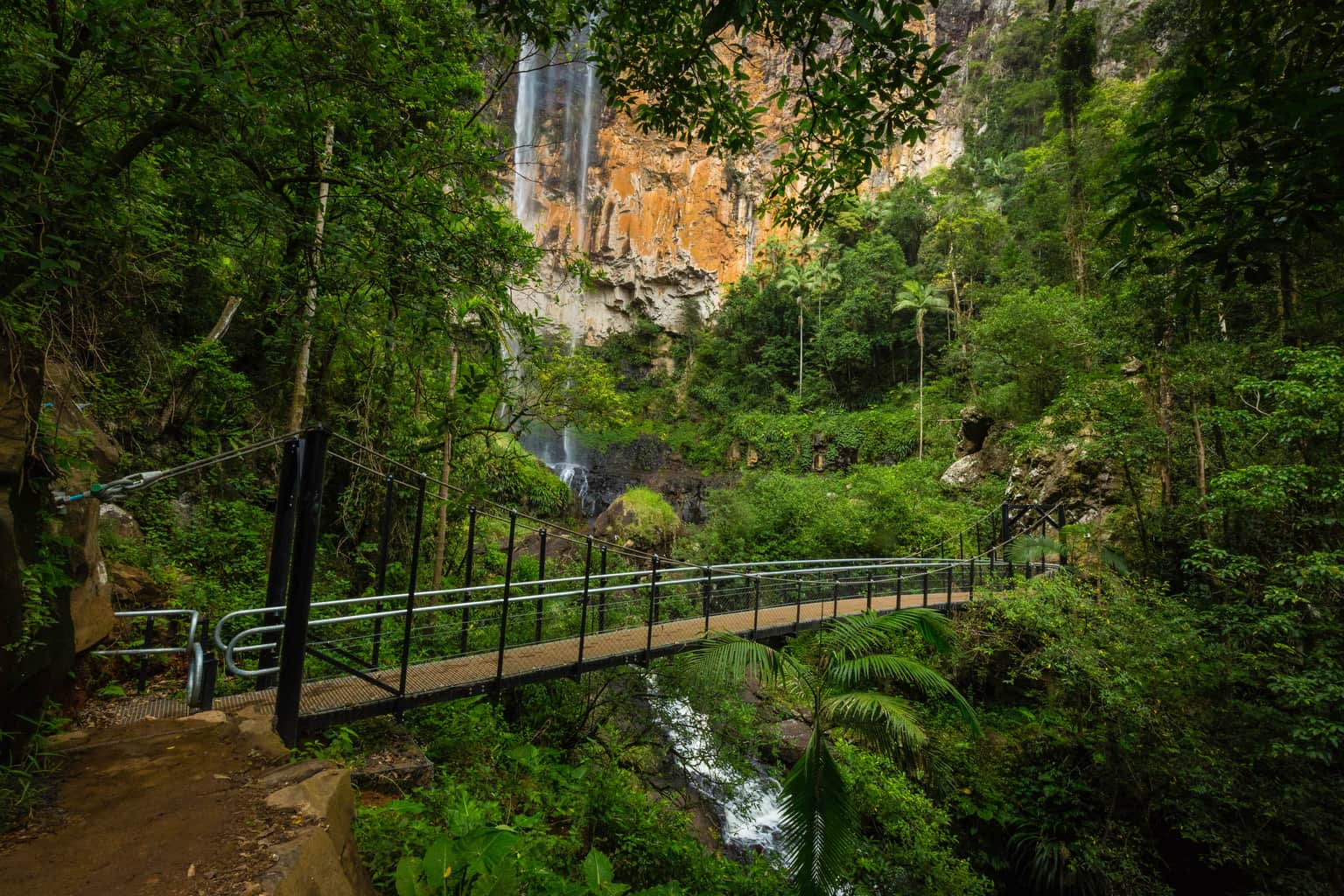Springbrook National Park, <em>Gold Coast</em>