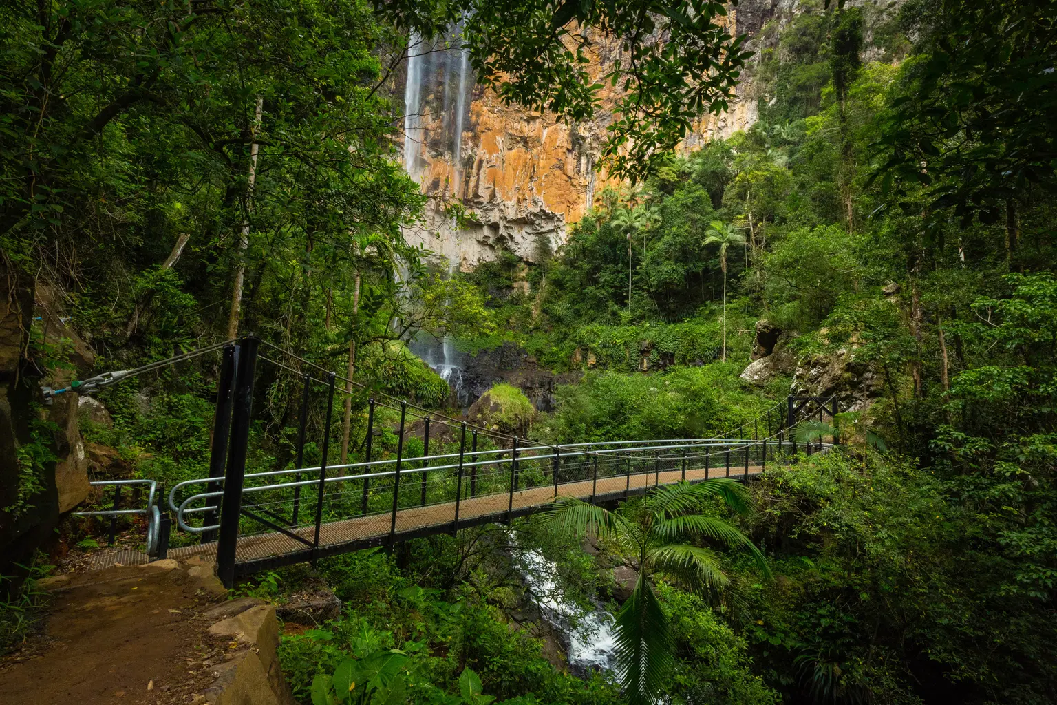 Springbrook National Park