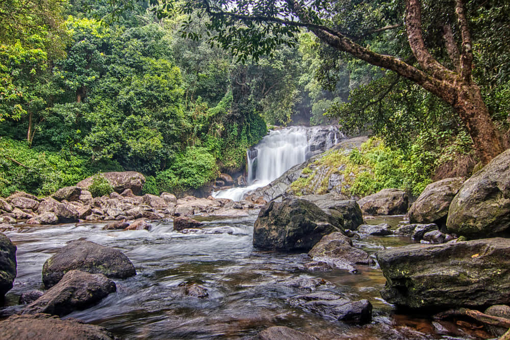 Lakkam Waterfalls, <em>Munnar</em>