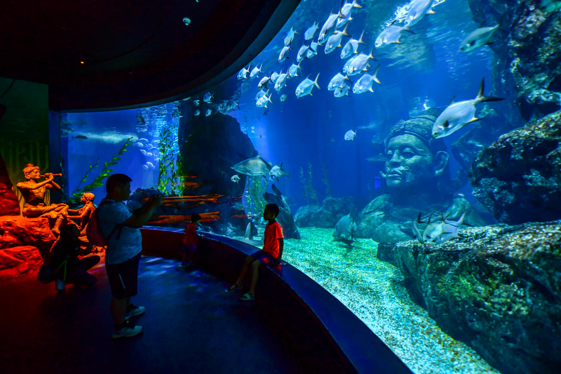 See a variety of sea creatures like eagle rays & sharks in the Ocean Tunnel