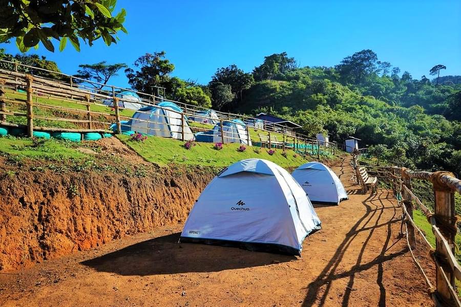 Suryanelli Camping Image