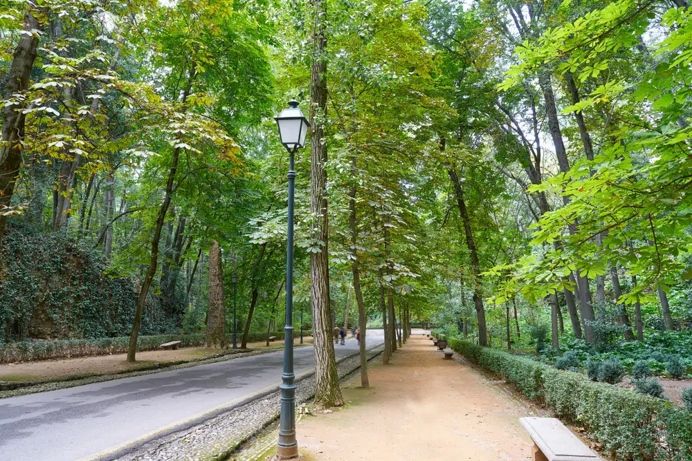 Andalus Park