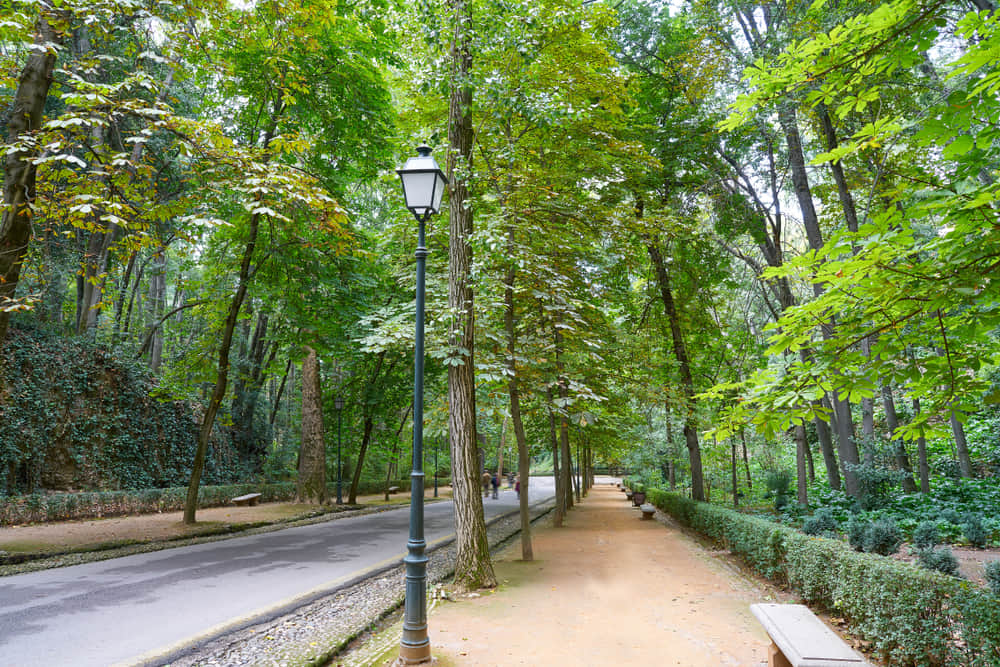 Andalus Park, <em>Abha</em>