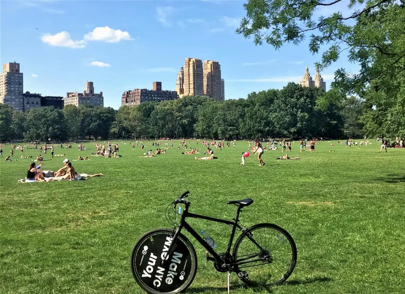 NYC Central Park Bike Rental Image