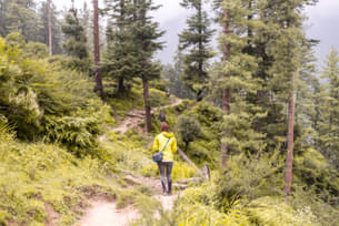 0a6k6mzz3gm5uxvr33kce7oyvao1 shutterstock 1310603846