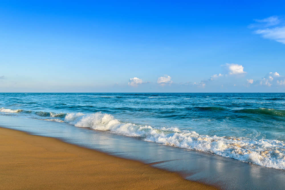 Puri Beach