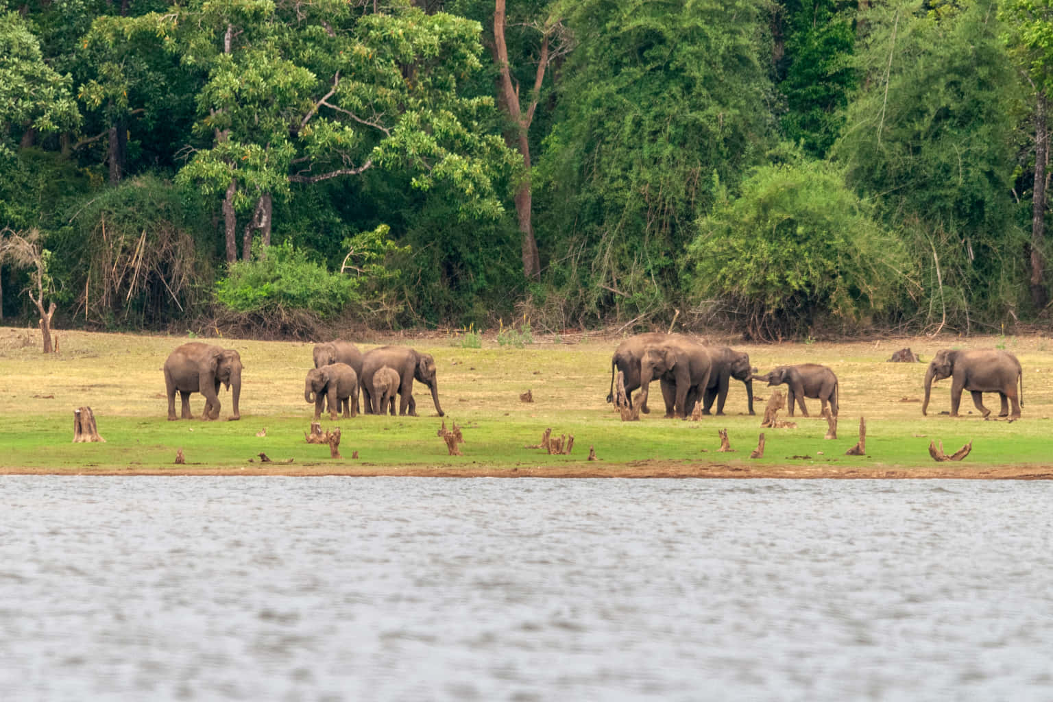 Kabini National Park Bus Safari