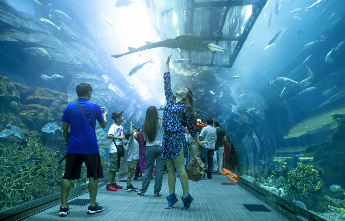 Dubai Aquarium And Underwater Zoo