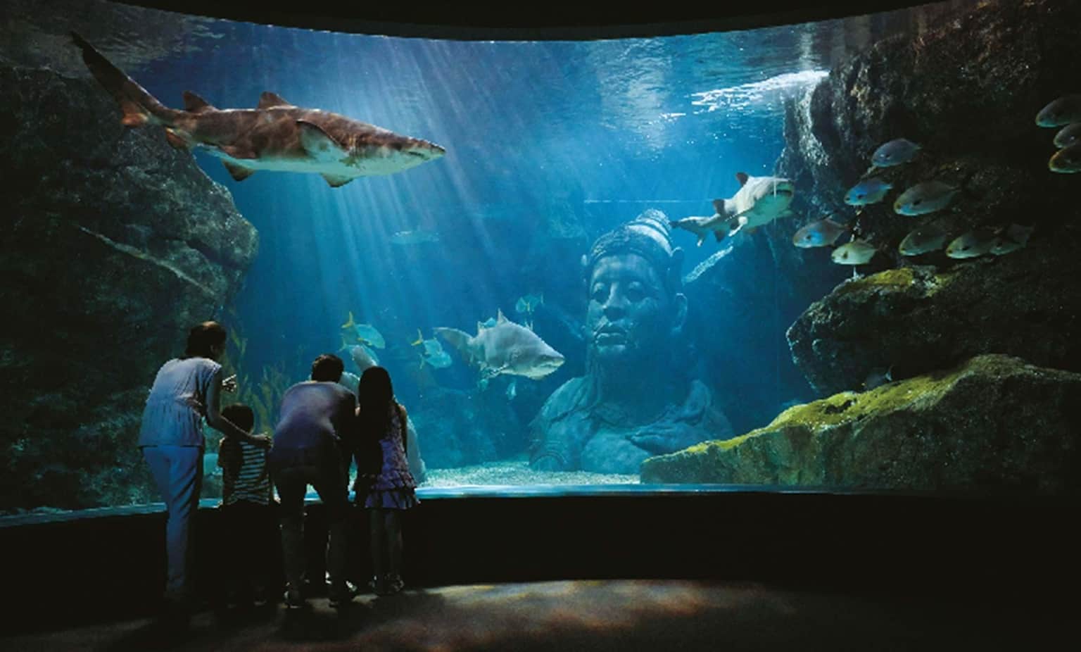 Ocean Walker