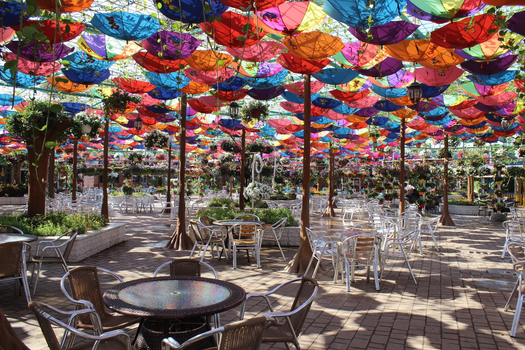 The colourful canopy of umbrellas will keep you cool