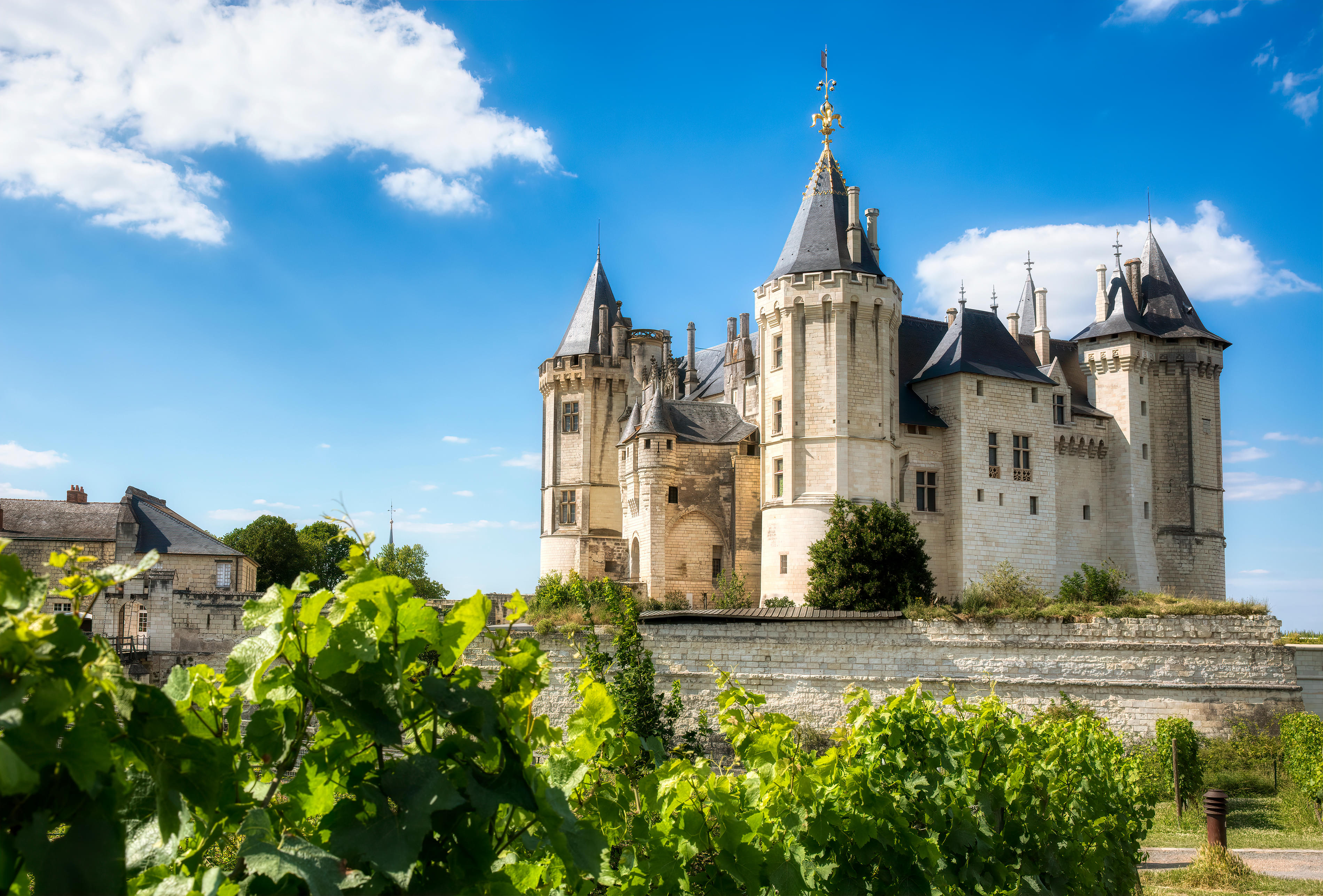 Chateau de Saumur