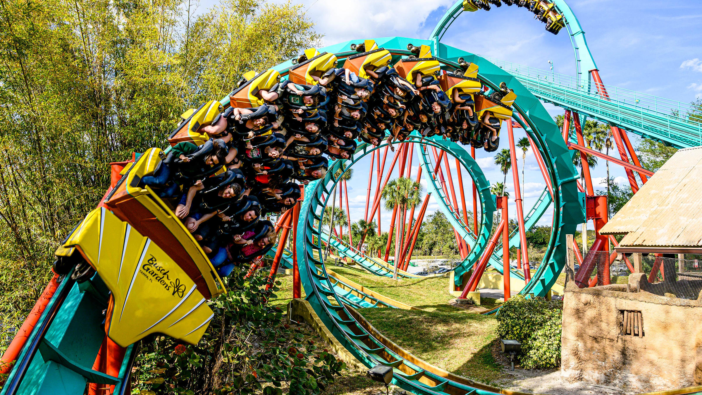 Theme Parks & Attractions in Tampa Bay and Williamsburg - Busch