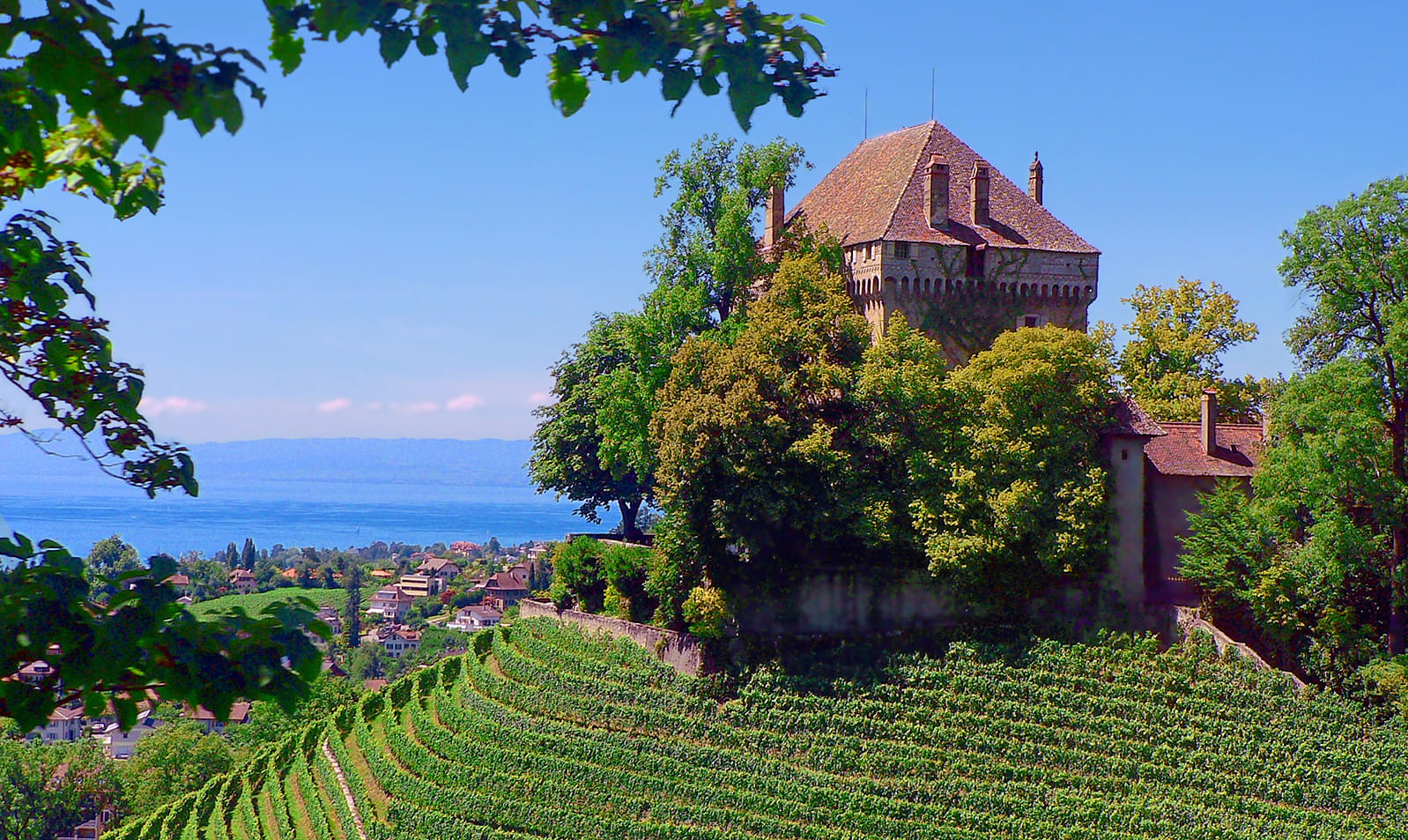 Châtelard Castle Overview