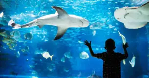 Spend an amazing day at Aquarium de Paris 