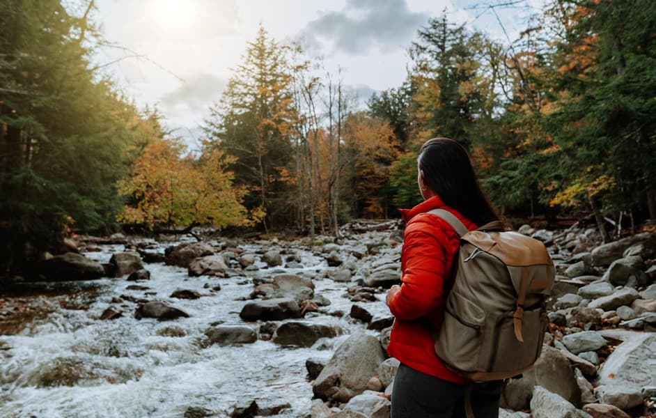 Manali Kasol Escape | Temples, Valleys and Starlit Nights Image