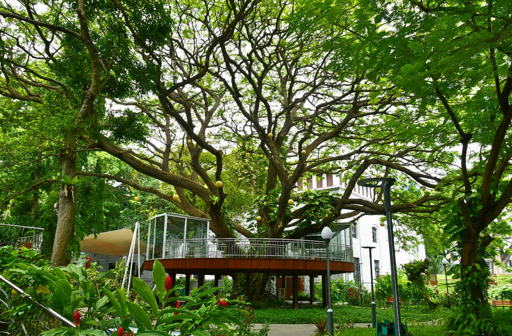 Sultan Park