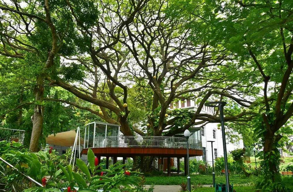 Sultan Park